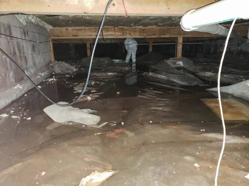Basement Water Removal in Chandler, AZ